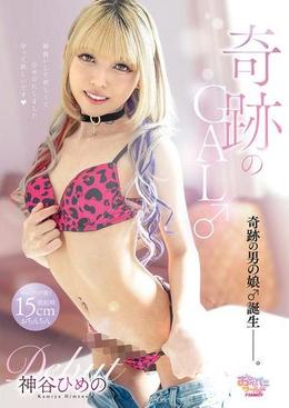 奇跡のGAL♂Debut 神谷ひめの